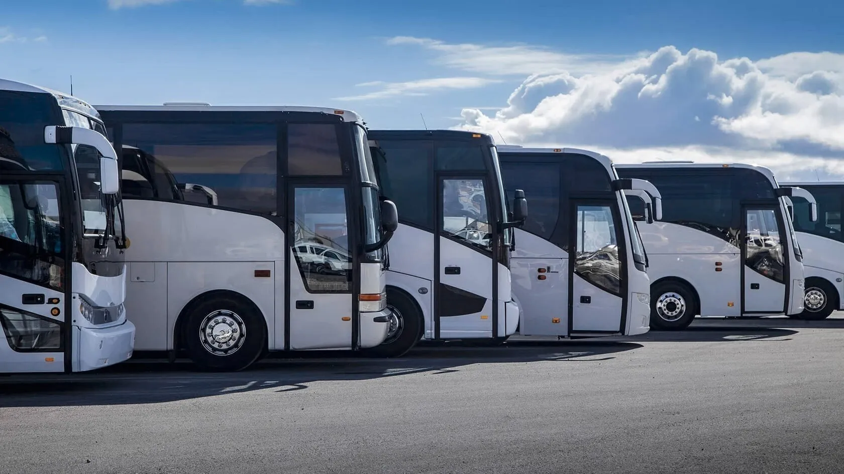 Buses fleet