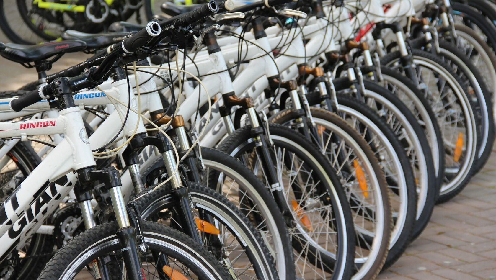 Bicycles in the parking lot