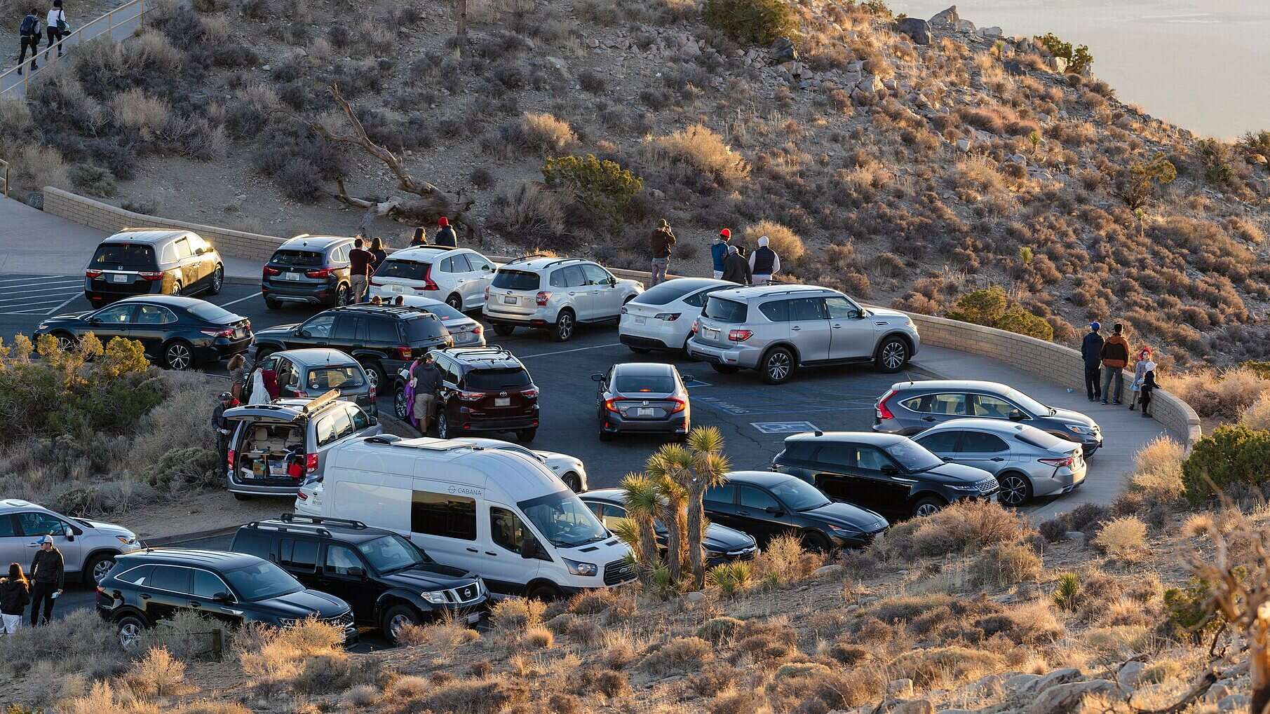 Crowded parking lot with cars, SUVs and vans of different types